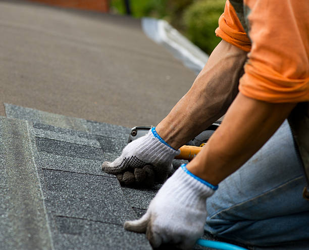 Best Roof Repair Services  in Earlington, KY